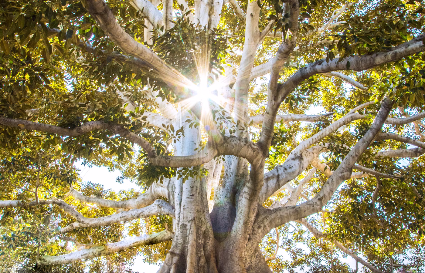 Утечки энергии онлайн в Москва